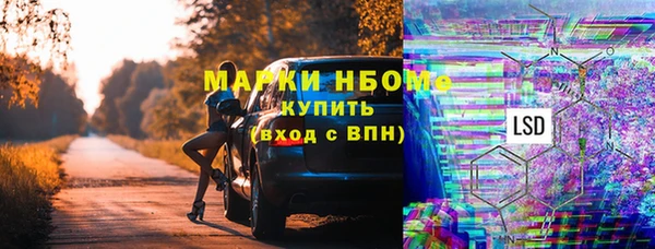 стаф Алзамай