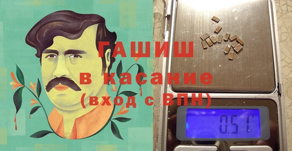 стаф Алзамай