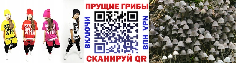 Галлюциногенные грибы прущие грибы Краснодар